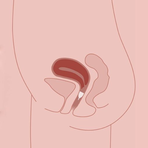 organicup-copa-menstrual-1A