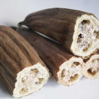 Semillas ecológicas de luffa (Luffa cylindrica)