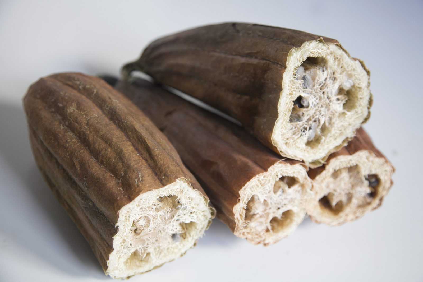 Semillas ecológicas de luffa (Luffa cylindrica)